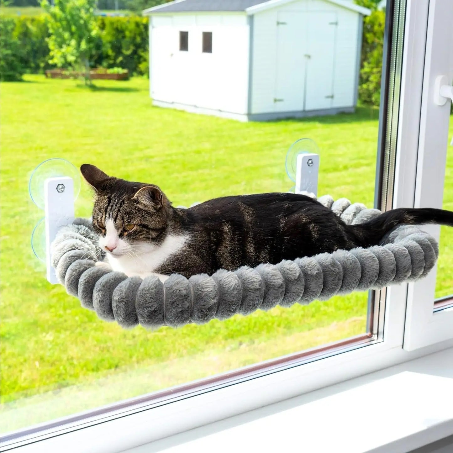 Sunny Seat Window Perch